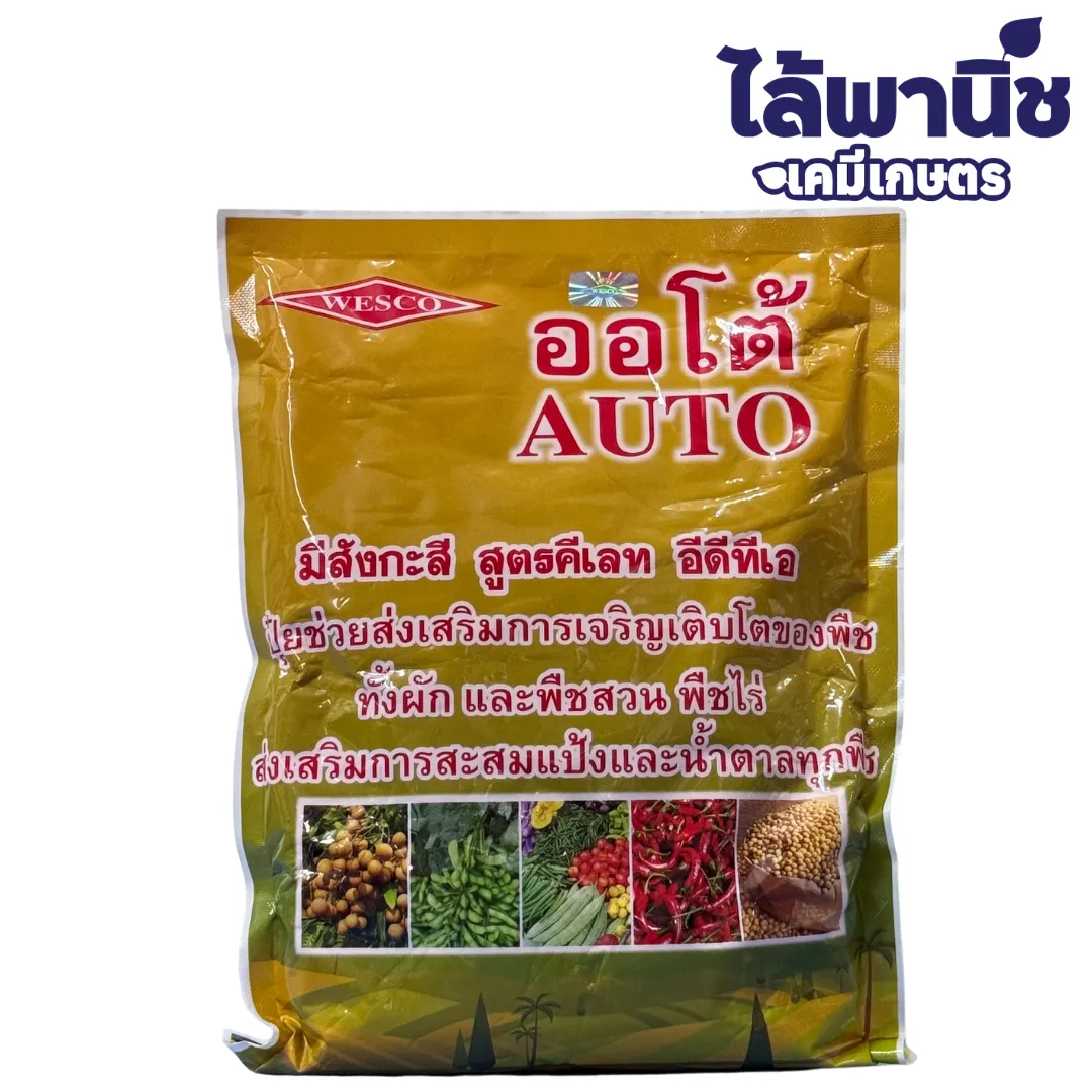 ออโต้ ถุง