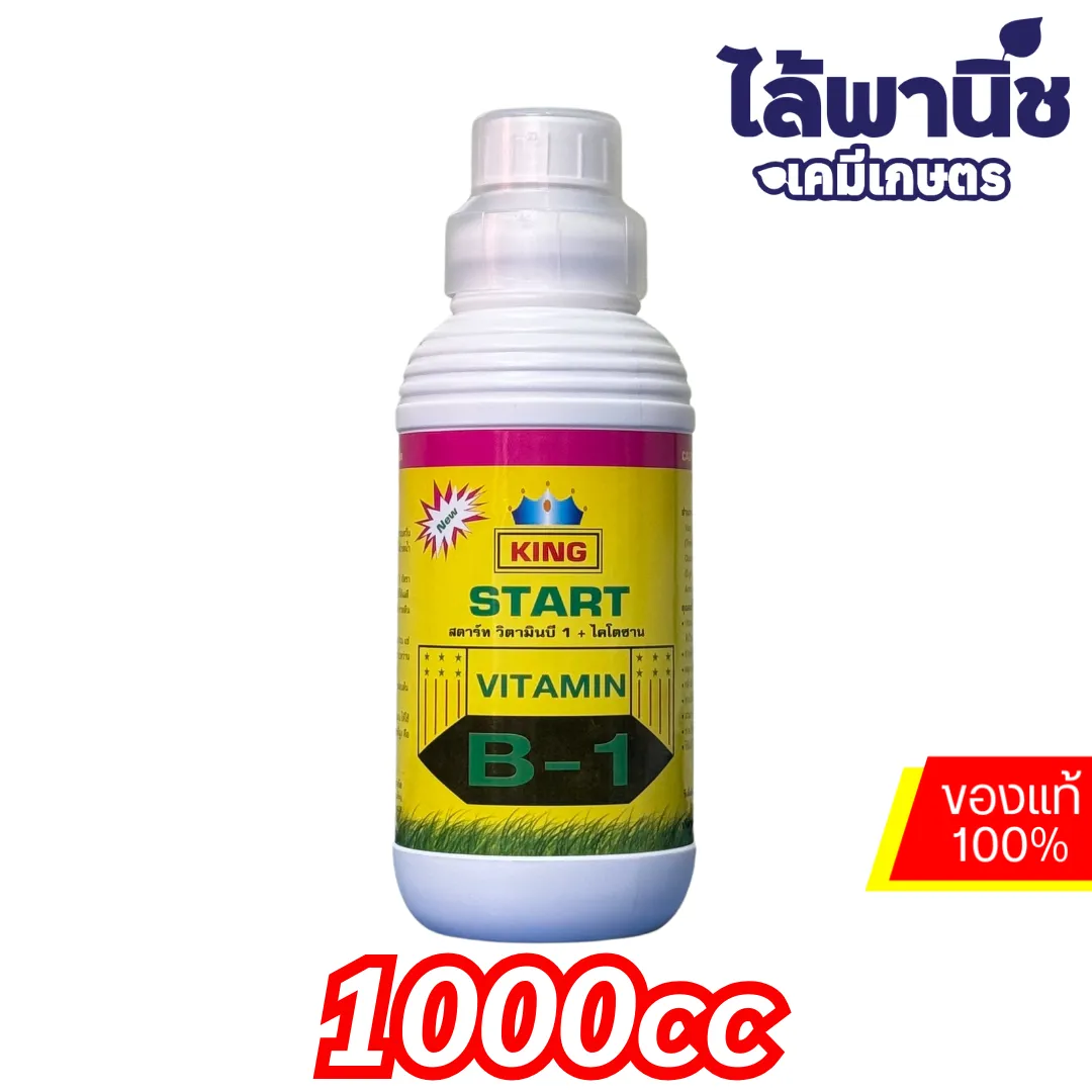 สตาร์ท B-1 ขวด